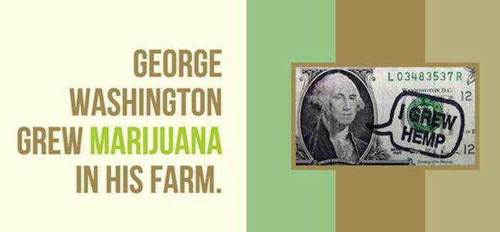 Mind Blowing Facts You Need To Know About Marijuana (24 pics)
