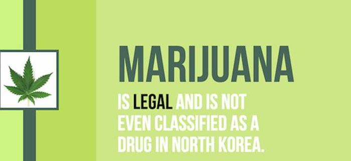 Mind Blowing Facts You Need To Know About Marijuana (24 pics)