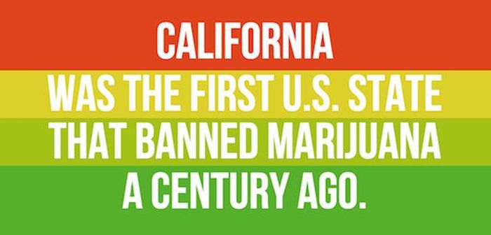Mind Blowing Facts You Need To Know About Marijuana (24 pics)