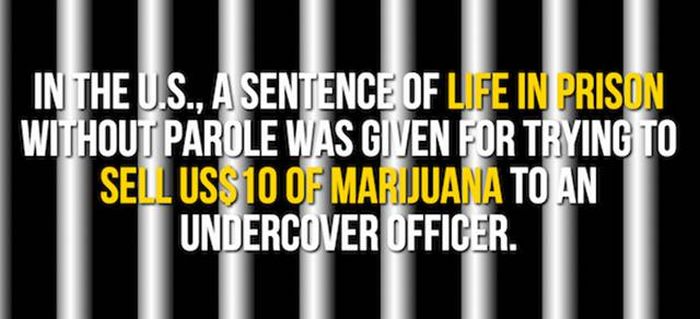 Mind Blowing Facts You Need To Know About Marijuana (24 pics)