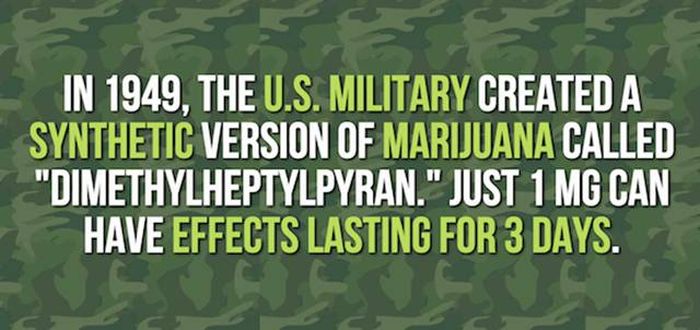 Mind Blowing Facts You Need To Know About Marijuana (24 pics)