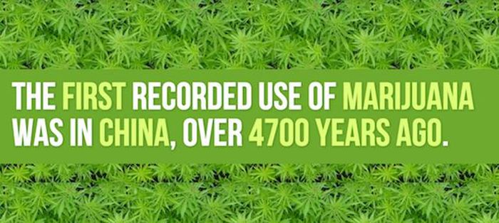 Mind Blowing Facts You Need To Know About Marijuana (24 Pics)