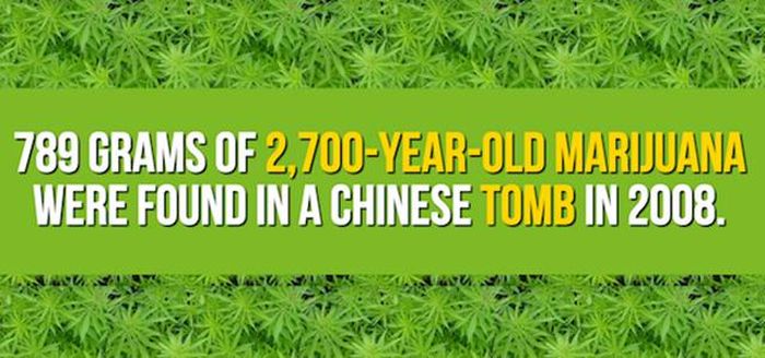 Mind Blowing Facts You Need To Know About Marijuana (24 pics)
