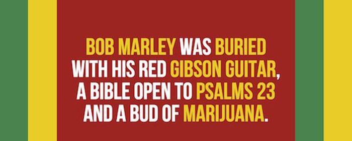 Mind Blowing Facts You Need To Know About Marijuana (24 pics)