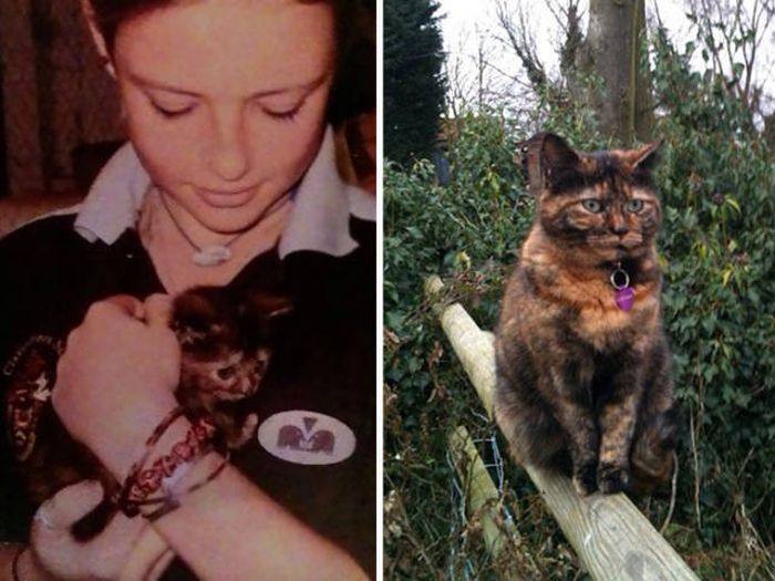 First And Last Pics Of Pets That Will Bring Tears To Your Eyes (35 pics)