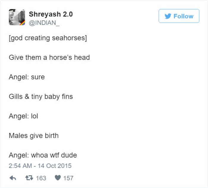 Twitter Reveals How God Created Animals (50 pics)
