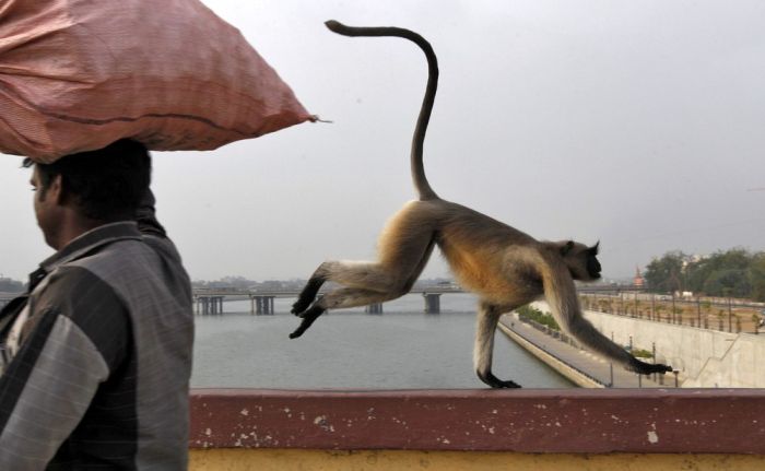 An Up Close View Of What Life Is Like In India (34 pics)