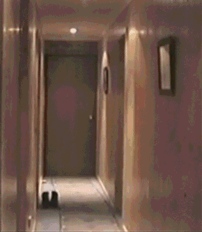 Unfortunate Accidents That Could Have Easily Been Avoided (18 gifs)