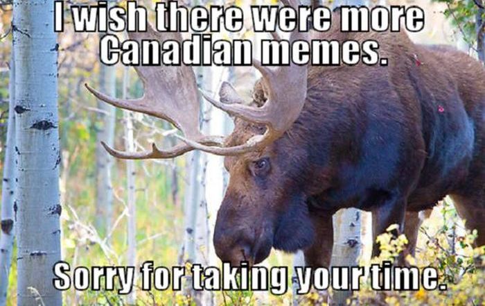 Things That Wouldn't Happen Anywhere Else In The World But Canada (43 pics)