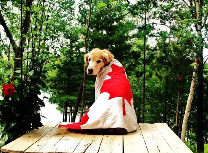 Things That Wouldn't Happen Anywhere Else In The World But Canada (43 pics)