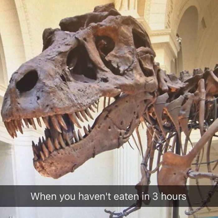 Snapchat And Museums Just Go So Well Together (45 pics)