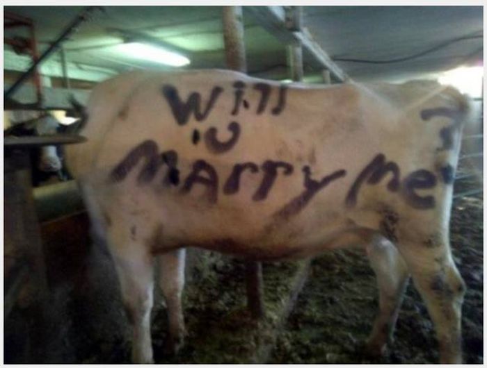 People Who Took White Trash Marriage Proposals To The Extreme (15 pics)