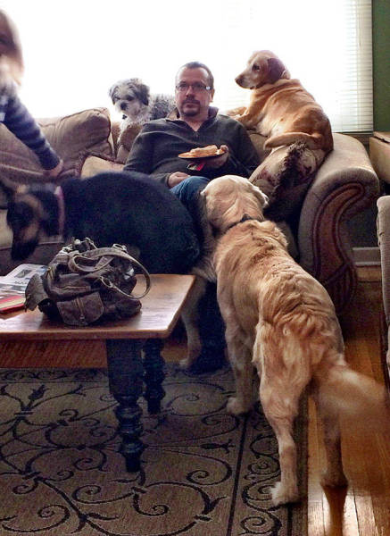 Pictures That Sum Up What It's Like To Love A Dog (25 pics)
