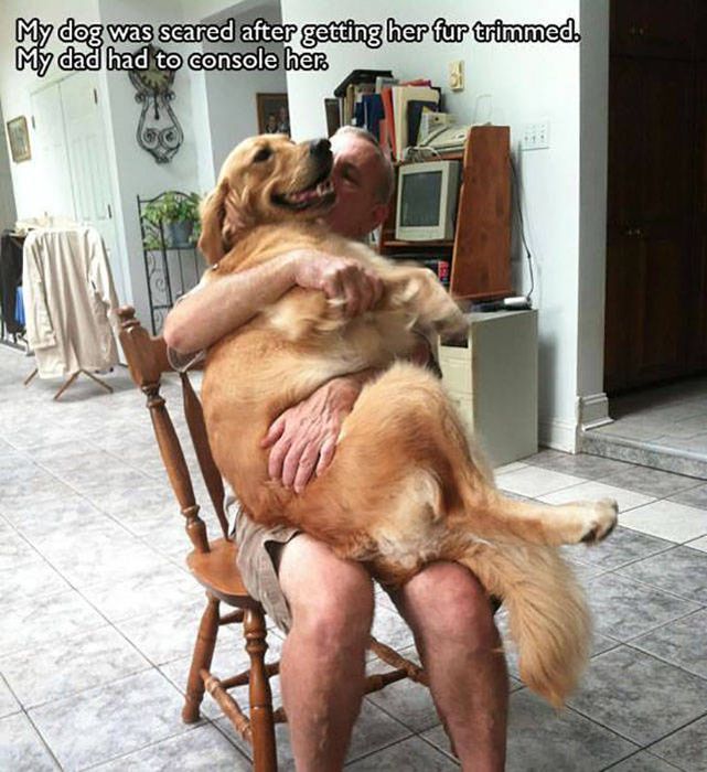 Pictures That Sum Up What It's Like To Love A Dog (25 pics)