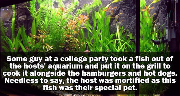 People Share Their Hilarious And Crazy Party Stories (15 pics)