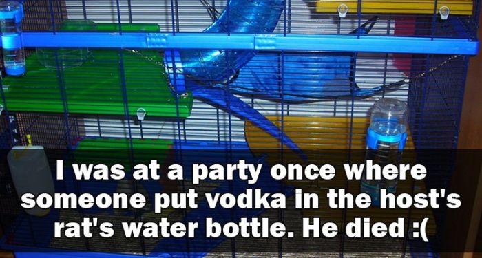 People Share Their Hilarious And Crazy Party Stories (15 pics)
