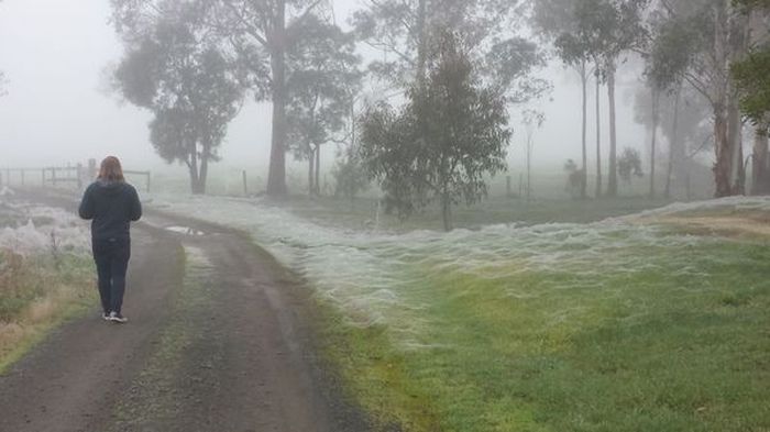 What Australia Looks Like In The Winter (7 pics)