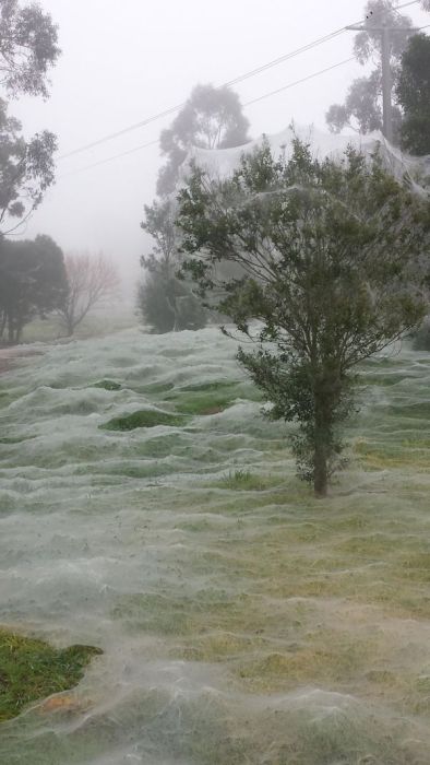 What Australia Looks Like In The Winter (7 pics)