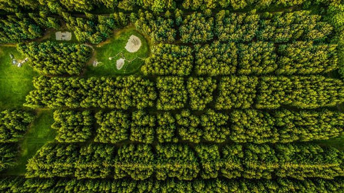 The Most Incredible Drone Photos Of 2016 (23 pics)