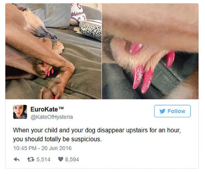 Things Kids Have Said That Will Literally Make You Laugh Out Loud (24 pics)