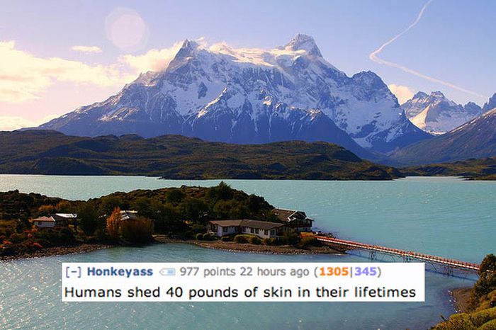 Disgusting Reddit Comments That Will Teach You A Lot About Your Body (17 pics)