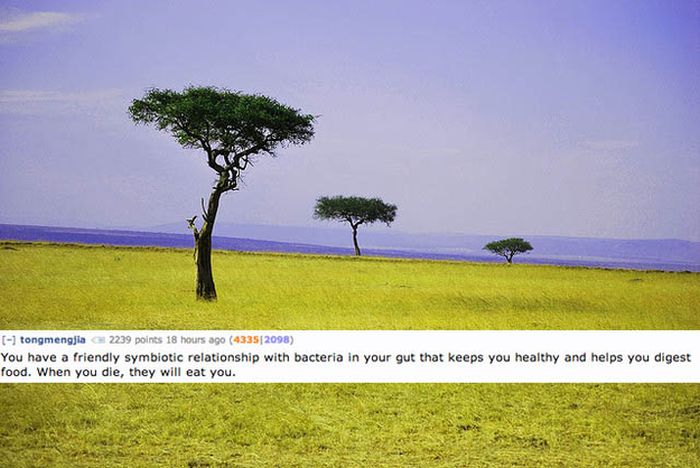 Disgusting Reddit Comments That Will Teach You A Lot About Your Body (17 pics)