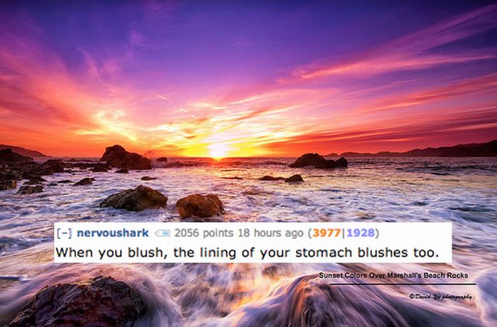 Disgusting Reddit Comments That Will Teach You A Lot About Your Body (17 pics)