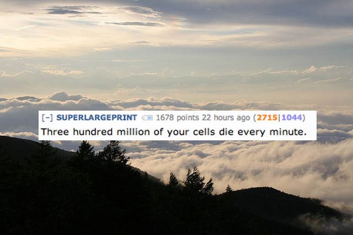 Disgusting Reddit Comments That Will Teach You A Lot About Your Body (17 pics)