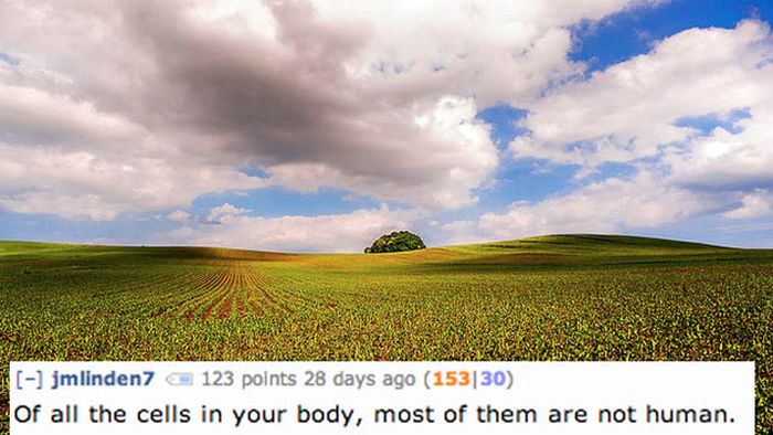 Disgusting Reddit Comments That Will Teach You A Lot About Your Body (17 pics)