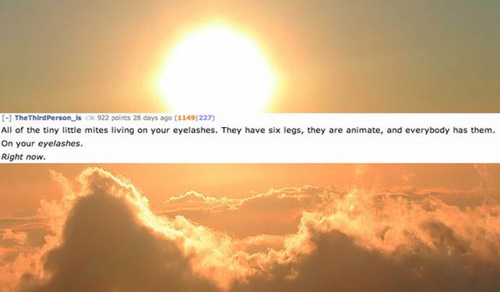 Disgusting Reddit Comments That Will Teach You A Lot About Your Body (17 pics)