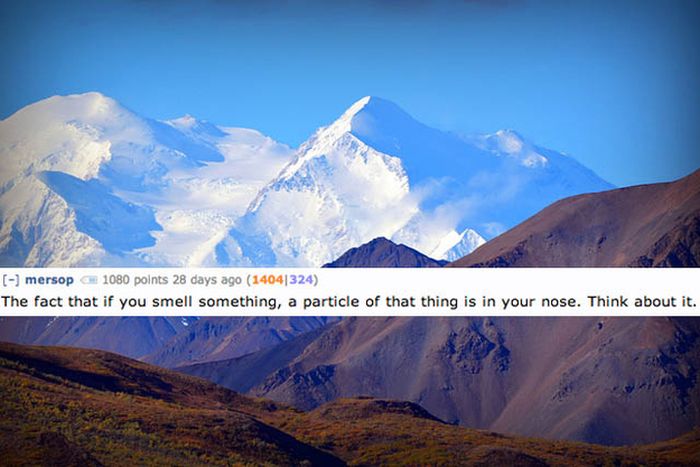Disgusting Reddit Comments That Will Teach You A Lot About Your Body (17 pics)