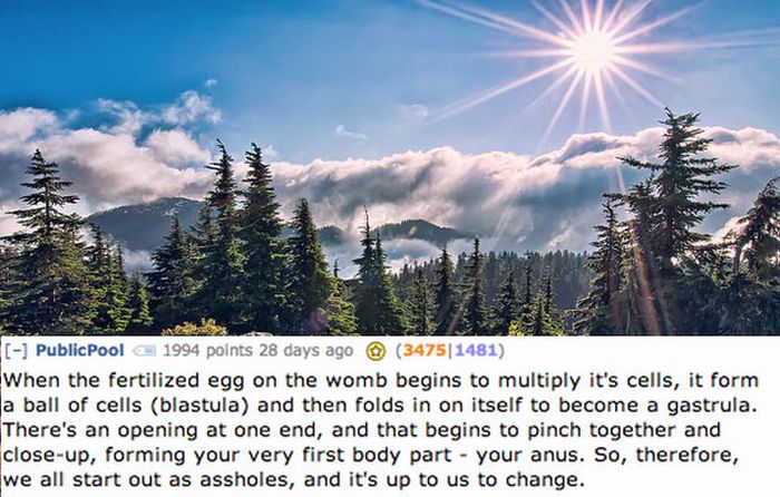 Disgusting Reddit Comments That Will Teach You A Lot About Your Body (17 pics)