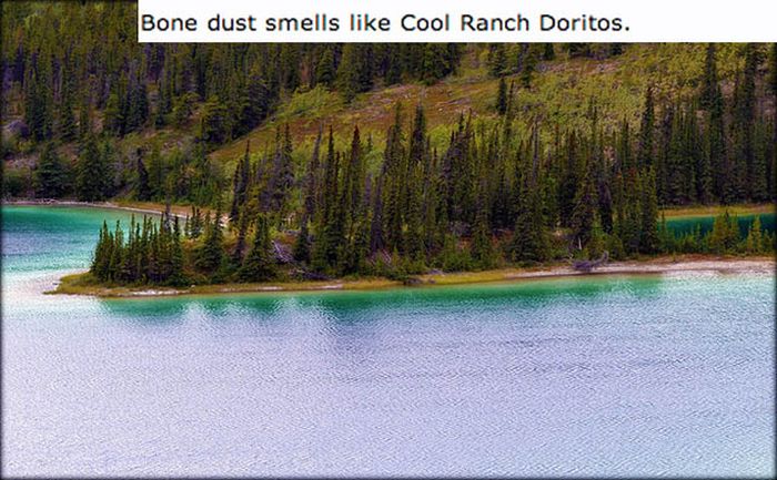 Disgusting Reddit Comments That Will Teach You A Lot About Your Body (17 pics)