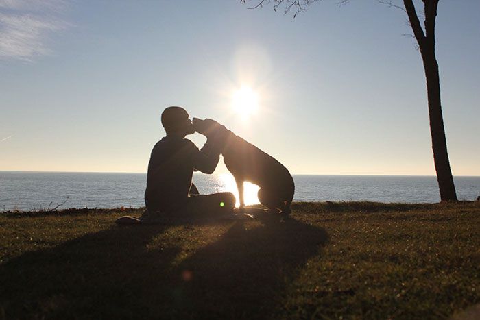 Man Takes His Dog On One Last Road Trip (12 pics)