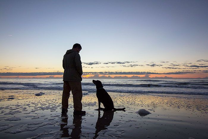 Man Takes His Dog On One Last Road Trip (12 pics)