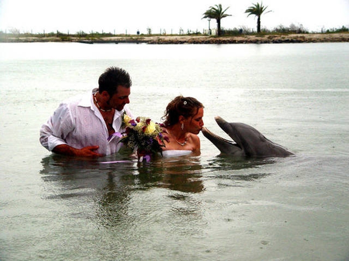 Couples Who Went Out Of Their Way To Take Amusing Wedding Pictures (39 pics)