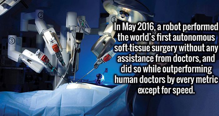 Impressive Facts That Your Brain Is Going To Love (19 pics)