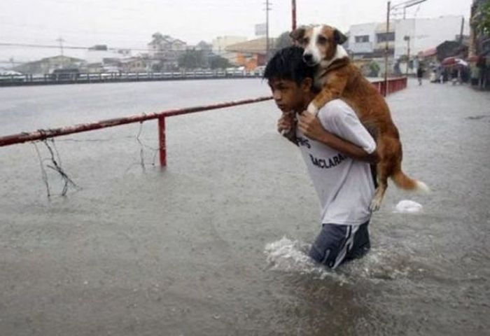 Photos To Remind You That There Are Still Good People In This World (26 pics)
