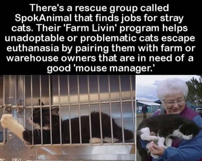 Photos To Remind You That There Are Still Good People In This World (26 pics)
