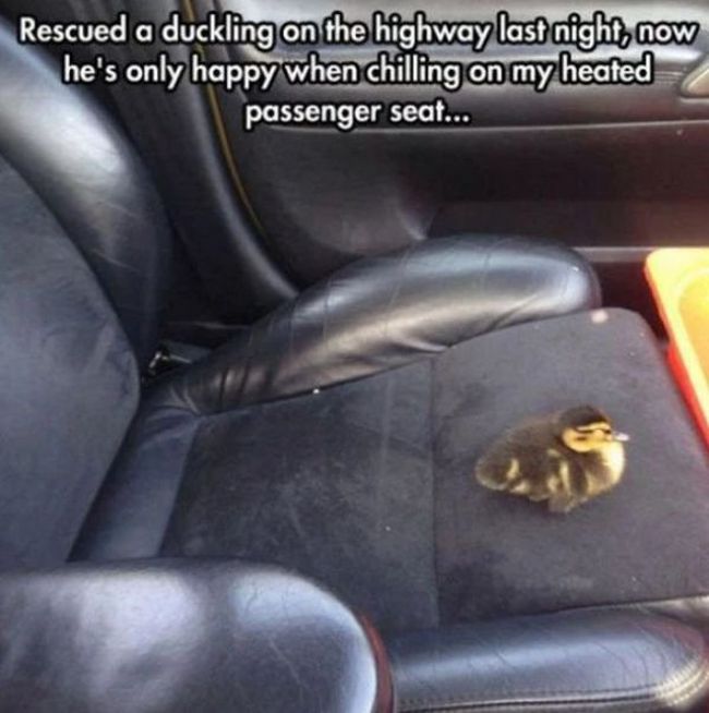 Photos To Remind You That There Are Still Good People In This World (26 pics)