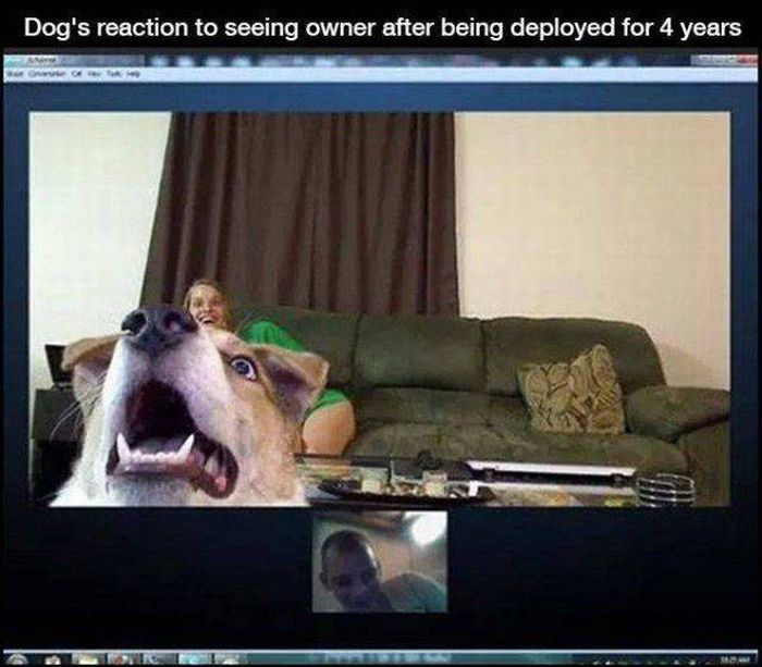 Acid Picdump (115 pics)