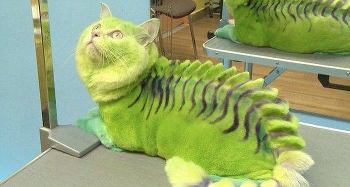 Acid Picdump (115 pics)