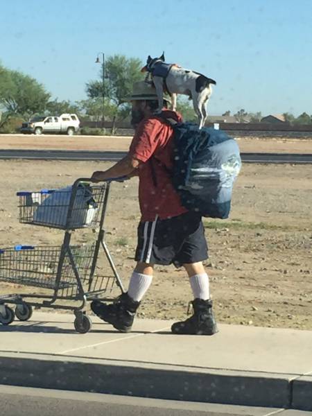 Acid Picdump (115 pics)