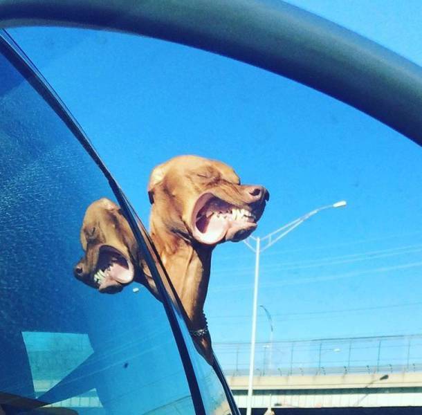 Acid Picdump (115 pics)
