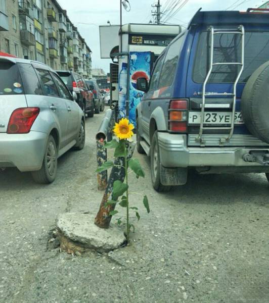 Acid Picdump (115 pics)