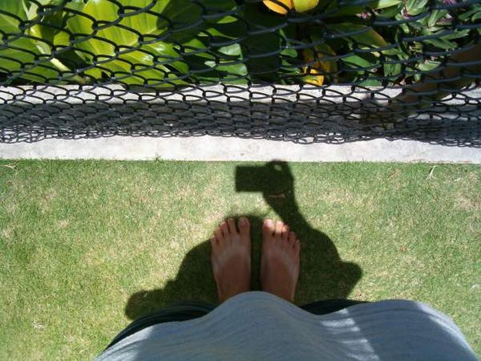 Lahaina Noon Causes Shadows To Stand Up Straight (11 pics)