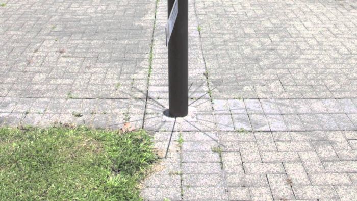 Lahaina Noon Causes Shadows To Stand Up Straight (11 pics)