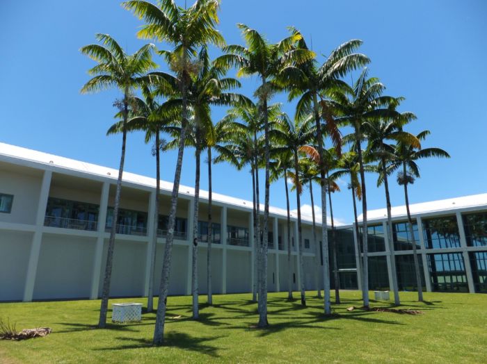 Lahaina Noon Causes Shadows To Stand Up Straight (11 pics)