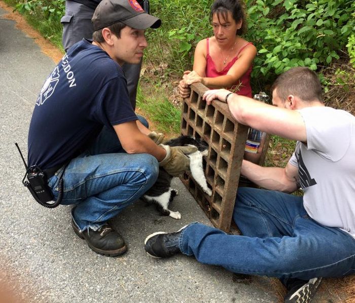 Firefighters Rescue Cat Stuck In A Terrible Spot (6 pics)