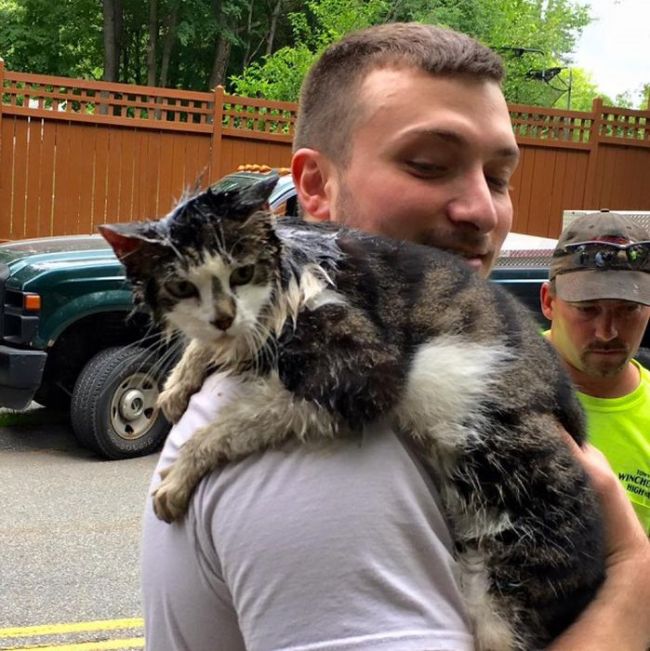 Firefighters Rescue Cat Stuck In A Terrible Spot (6 Pics)